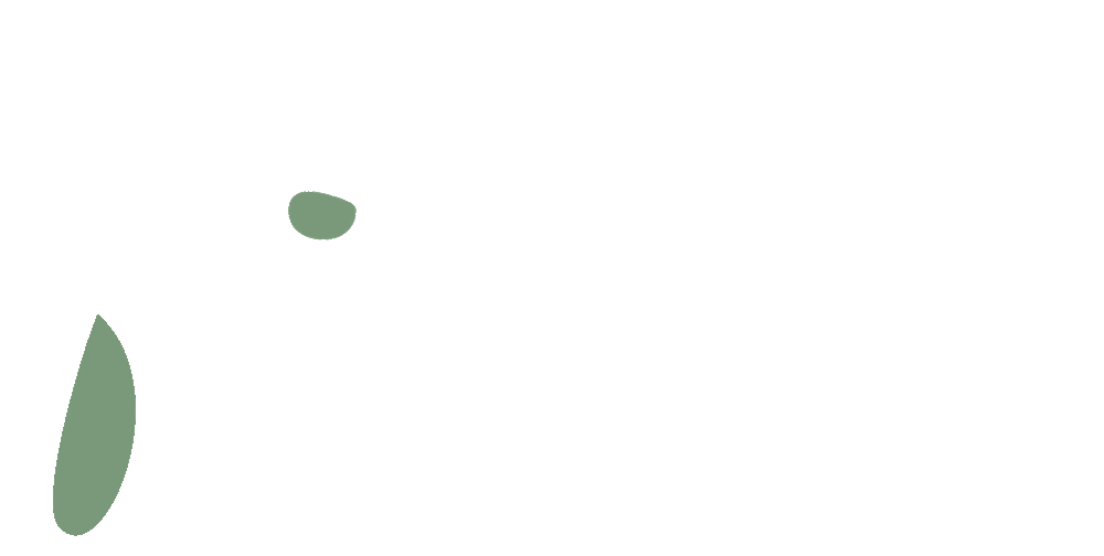 Finesse Interio